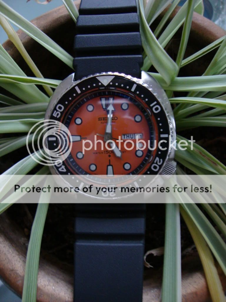 FS Seiko 63097040 (Vintage Cushion Case Diver) WatchUSeek Watch Forums